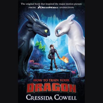 How to Train Your Dragon: Hidden World Tie-in