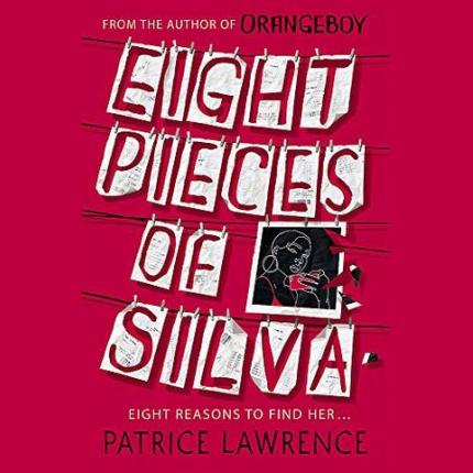 Eight Pieces of Silva: an addictive mystery that refuses to let you go …