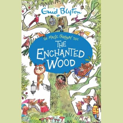 The Magic Faraway Tree: The Enchanted Wood: Book 1