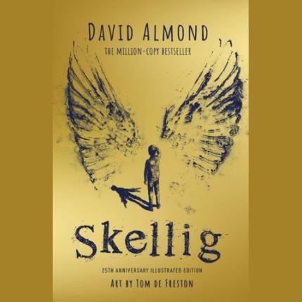 Skellig: the 25th anniversary illustrated edition
