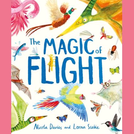 The Magic of Flight: Discover birds, bats, butterflies and more in this incredible book of flying creatures