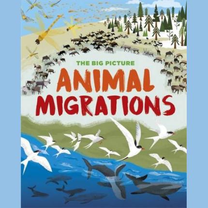 The Big Picture: Animal Migrations