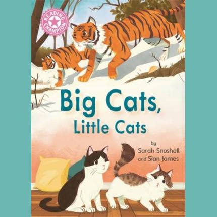 Reading Champion: Big Cats, Little Cats: Independent Reading Pink 1B Non-fiction