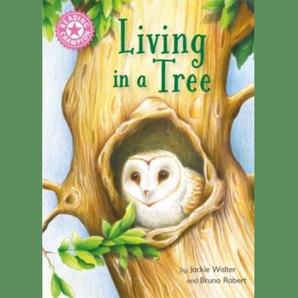 Reading Champion: Living in a Tree: Independent Reading Non-Fiction Pink 1a
