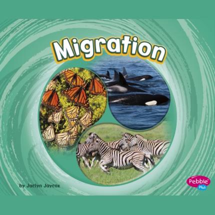 Migration