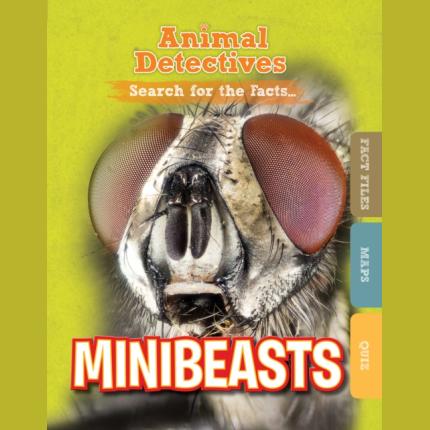 Minibeasts