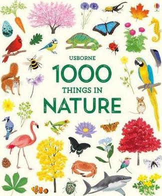 1000 Things in Nature