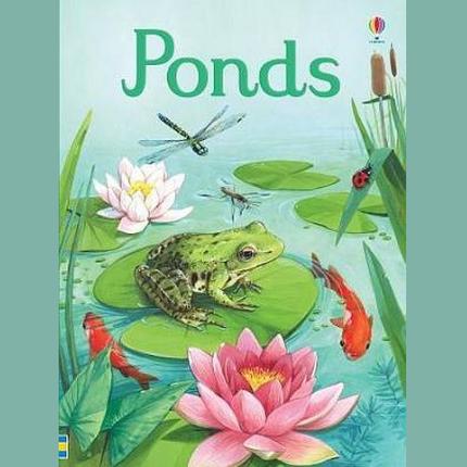 Ponds