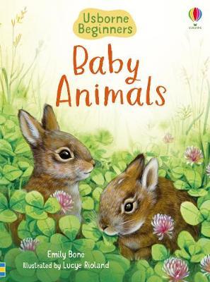 Baby Animals