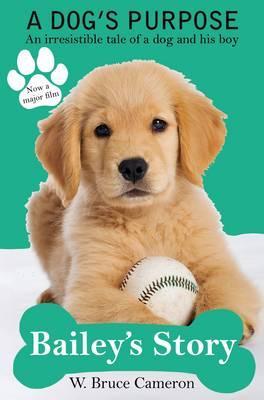 Bailey’s Story: A Dog’s Purpose