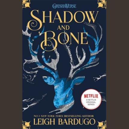 Shadow and Bone: Shadow and Bone: Book 1