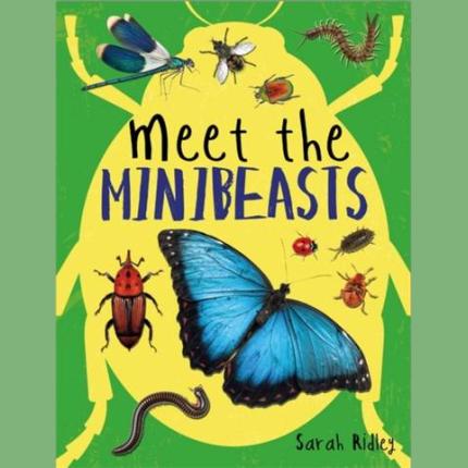 Meet the Minibeasts
