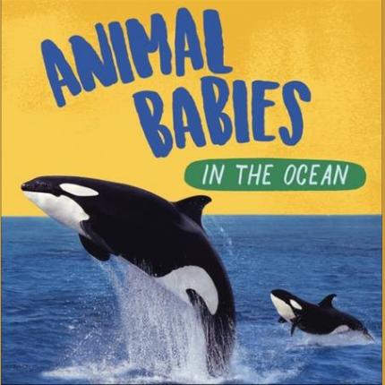 Animal Babies: In the Ocean