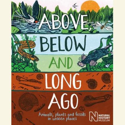 Above, Below and Long Ago: Animals, plants and fossils in unseen places
