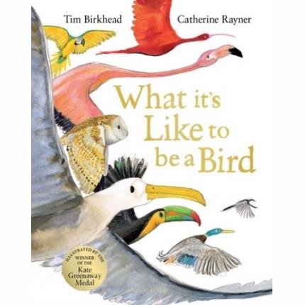 What it’s Like to be a Bird