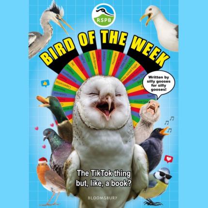 RSPB Bird of the Week
