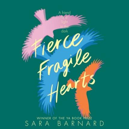 Fierce Fragile Hearts