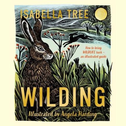 Wilding: How to Bring Wildlife Back – An Illustrated Guide