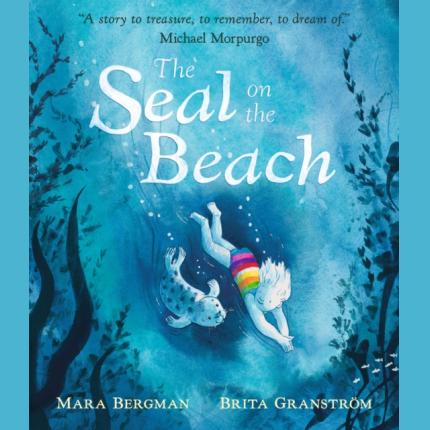 The Seal on the Beach