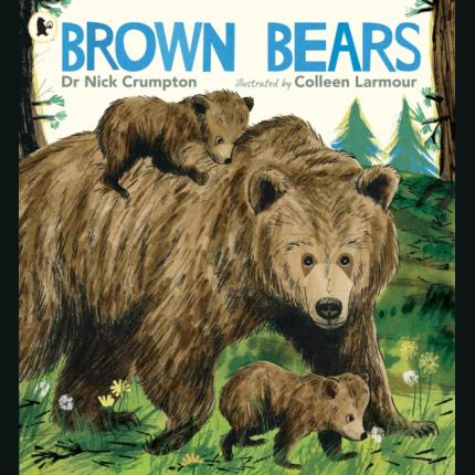 Brown Bears