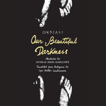 Our Beautiful Darkness: A Graphic Novel