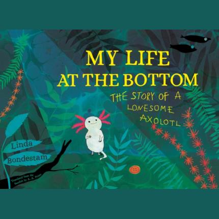 My Life at the Bottom: The Story of a Lonesome Axolotl
