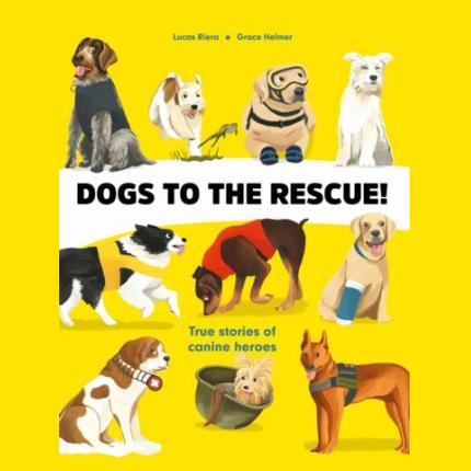 Dogs to the Rescue