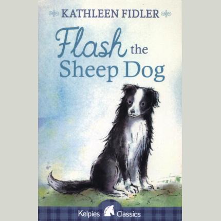 Flash the Sheep Dog
