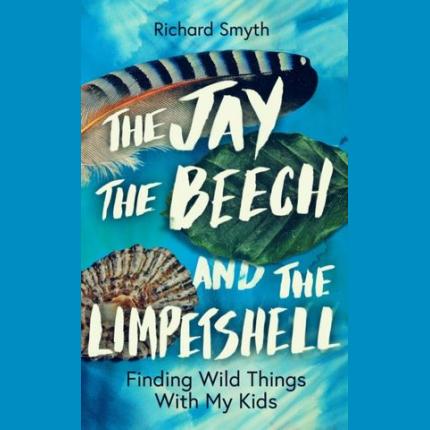 The Jay, The Beech and the Limpetshell: Finding Wild Things With My Kids