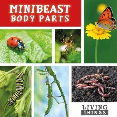 Living Things: Minibeast Body Parts