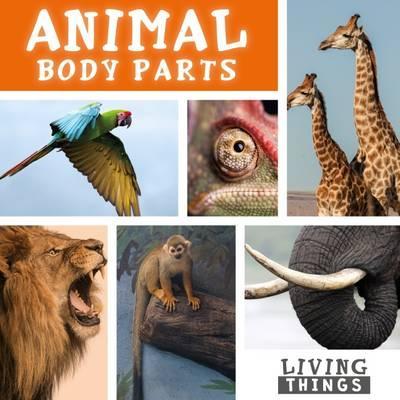 Living Things: Animal Body Parts