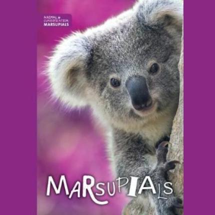Marsupials