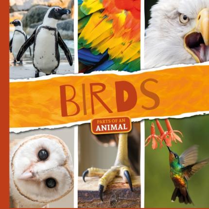 Parts of an Animal: Birds