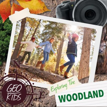 Geo-Kids: Exploring the Woodland