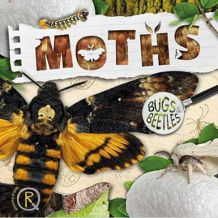 Bugs and Beetles: Moths