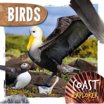 Coast Explorer: Birds