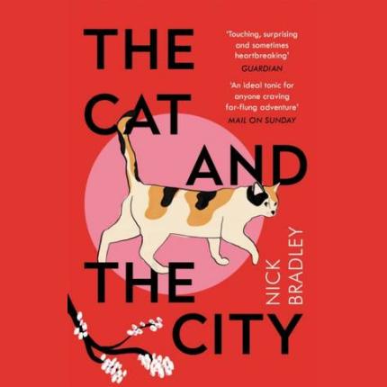 The Cat and The City