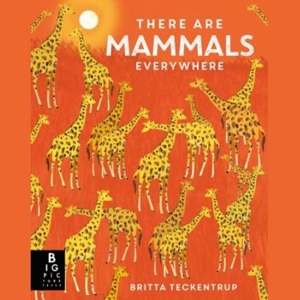 There are Mammals Everywhere