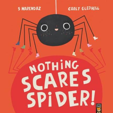 Nothing Scares Spider