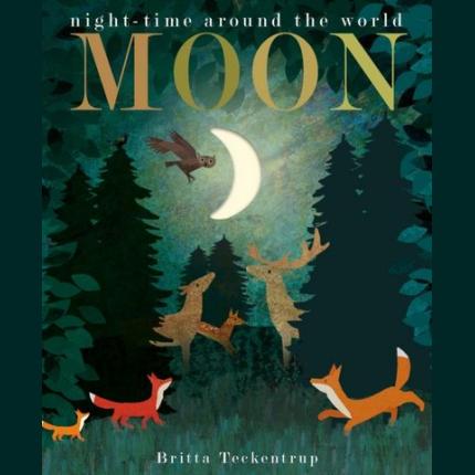 Moon: night-time around the world