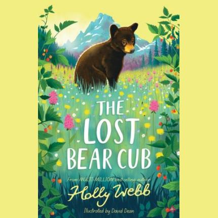 The Lost Bear Cub