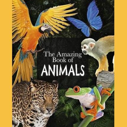 The Amazing Book of Animals