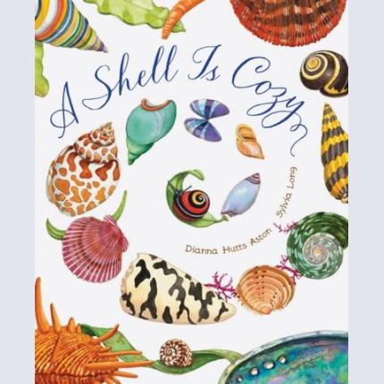A Shell Is Cozy