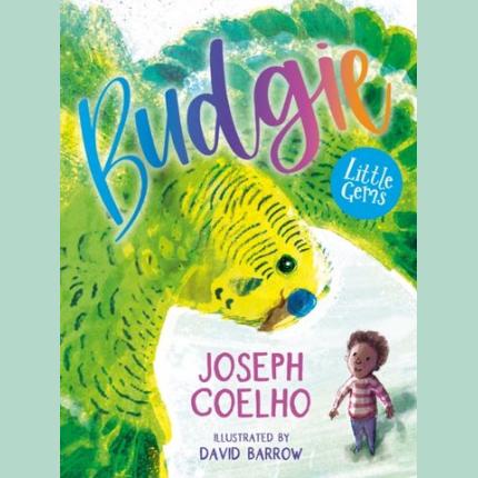 Little Gems: Budgie