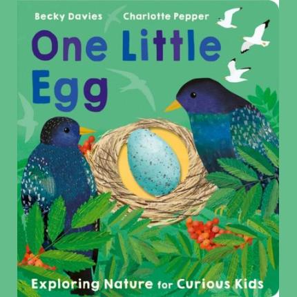 One Little Egg