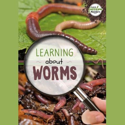 Learning about Worms