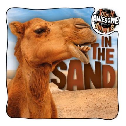 The Totally Awesome Guide to Animals: In the Sand