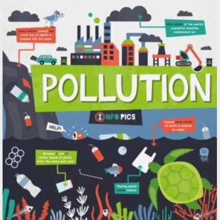 InfoPics: Pollution