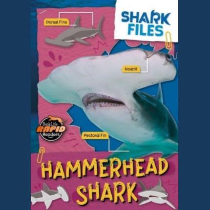 Rapid Readers: Shark Files: Hammerhead Shark