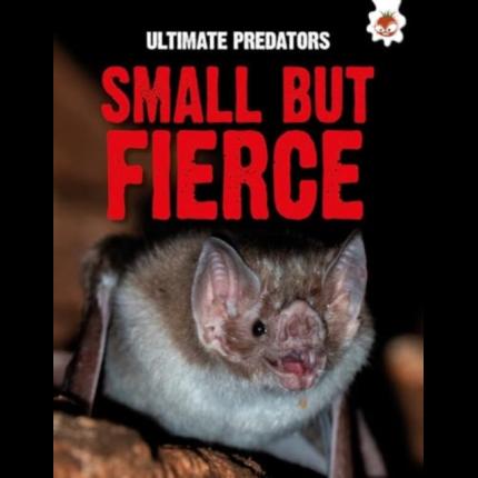 Ultimate Predators: Small but Fierce